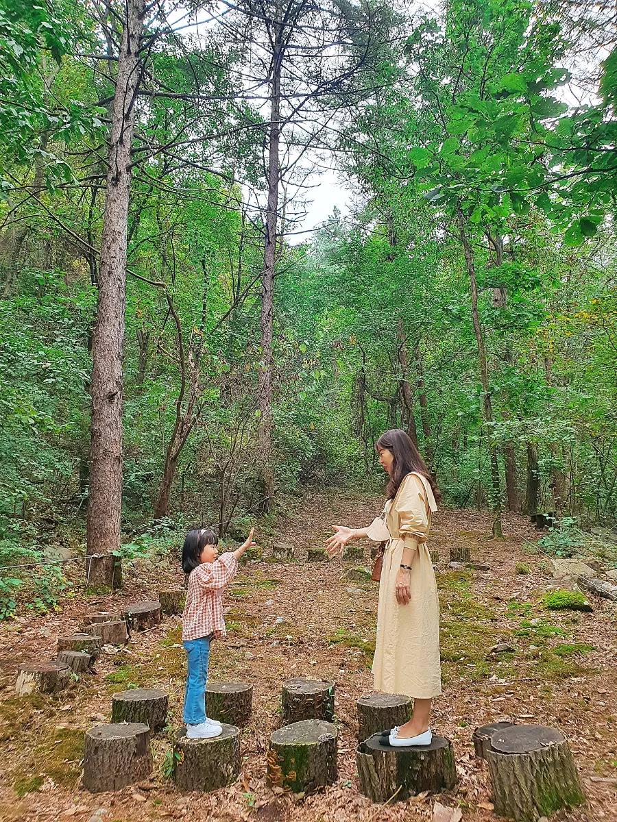 Sandeulnabi Experience Center photo 17