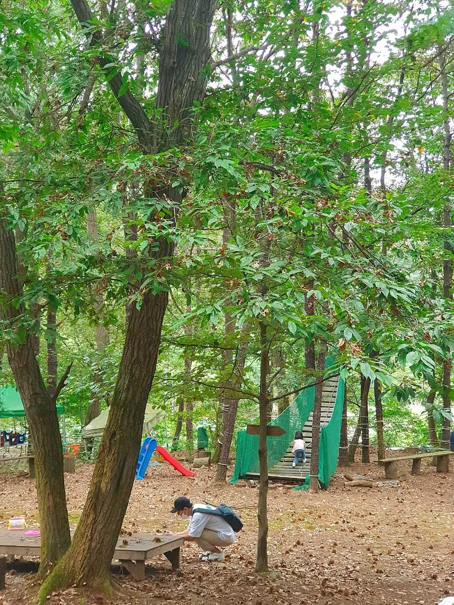 Sandeulnabi Experience Center photo 11