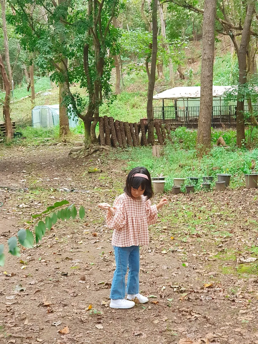 Sandeulnabi Experience Center photo 21