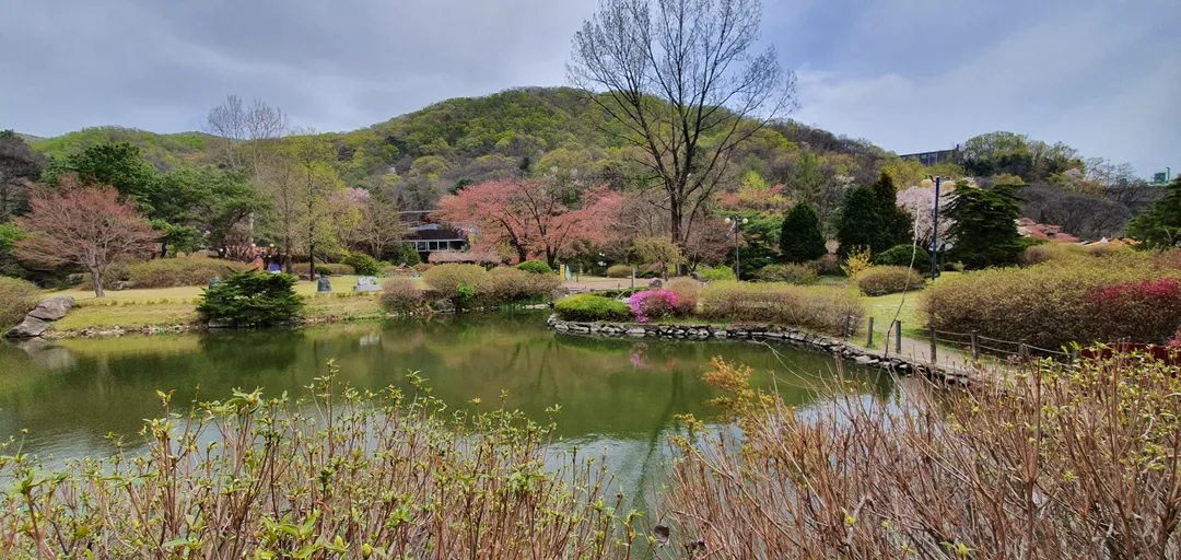 서운동산 사진 14