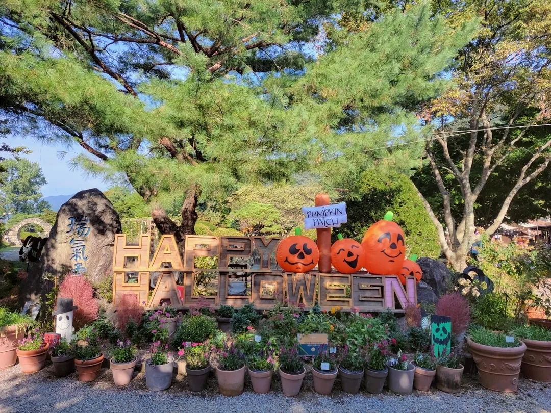 서운동산 사진 6