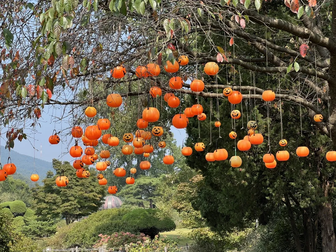 서운동산 사진 8