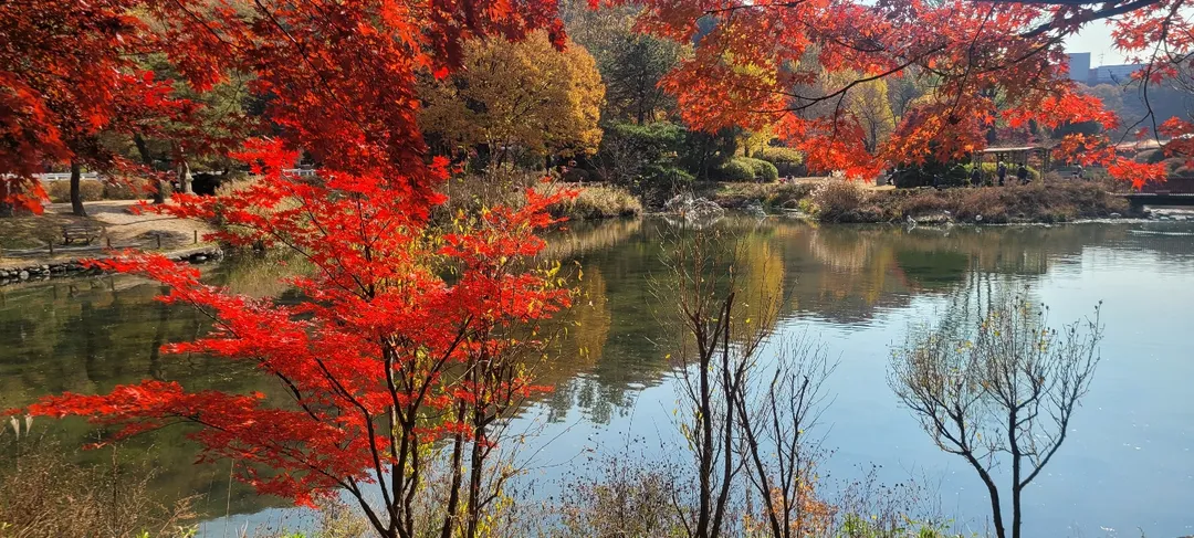 서운동산 사진 17