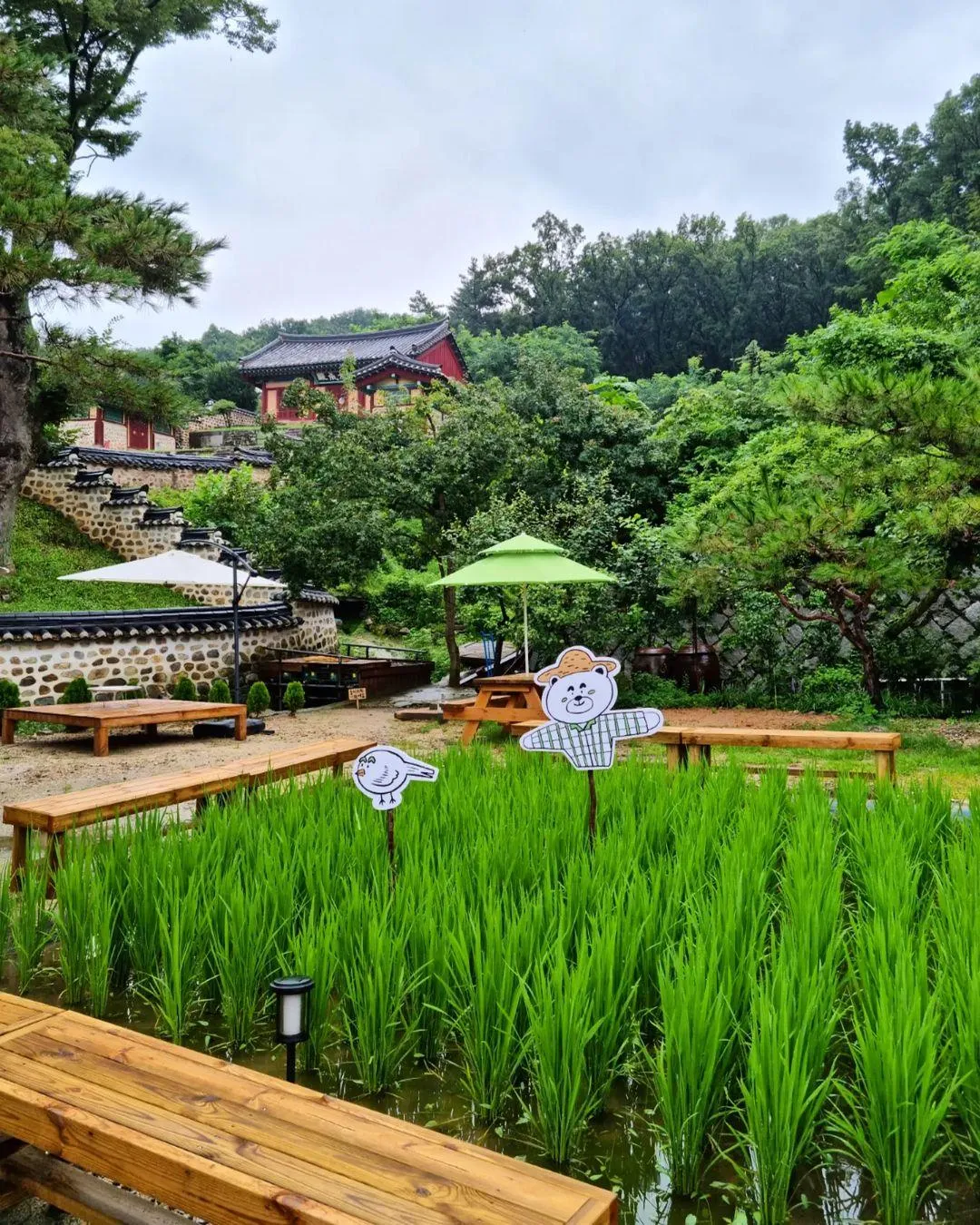 쌀 베이커리카페 흥만소 사진 17