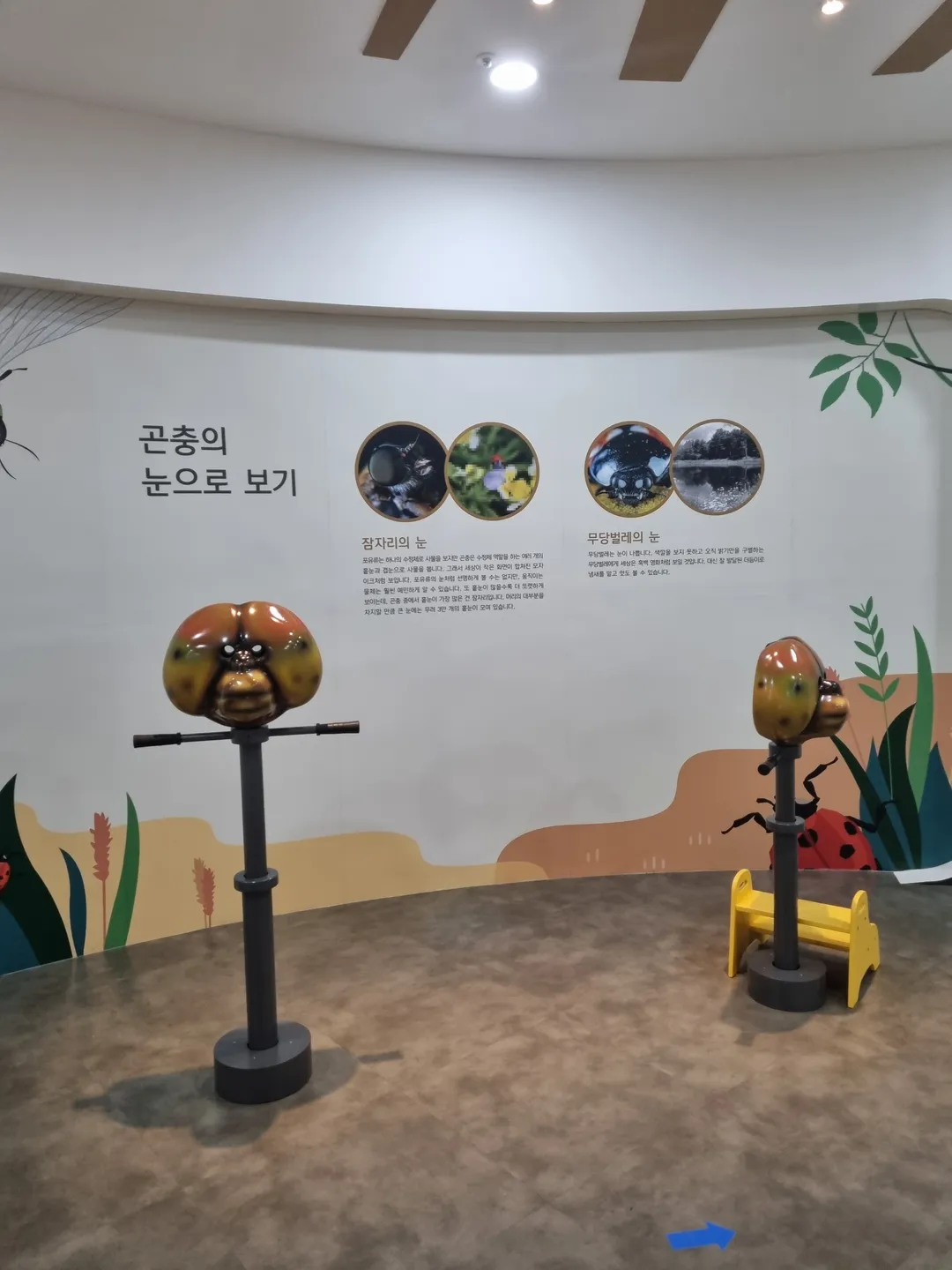 昆虫生態展示館 写真 6