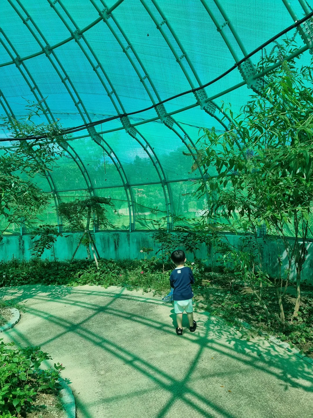 昆虫生態展示館 写真 7