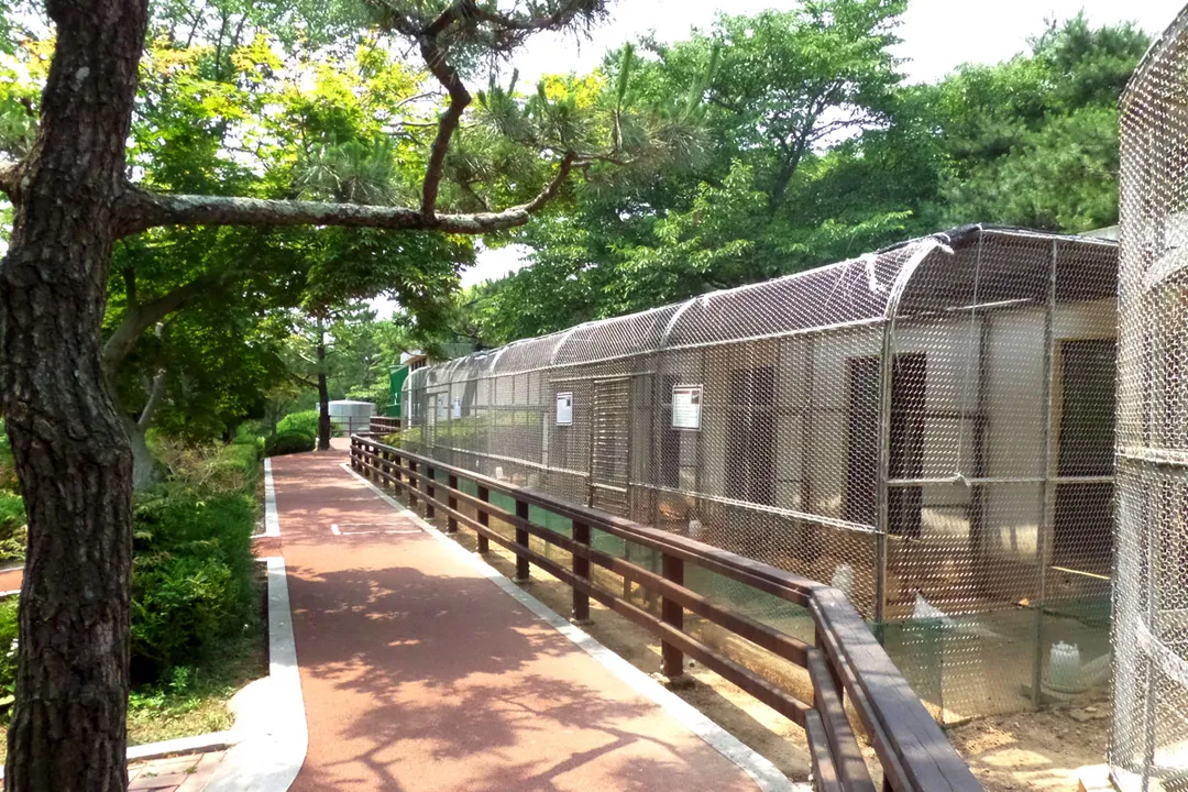 진양호 동물원 사진 8