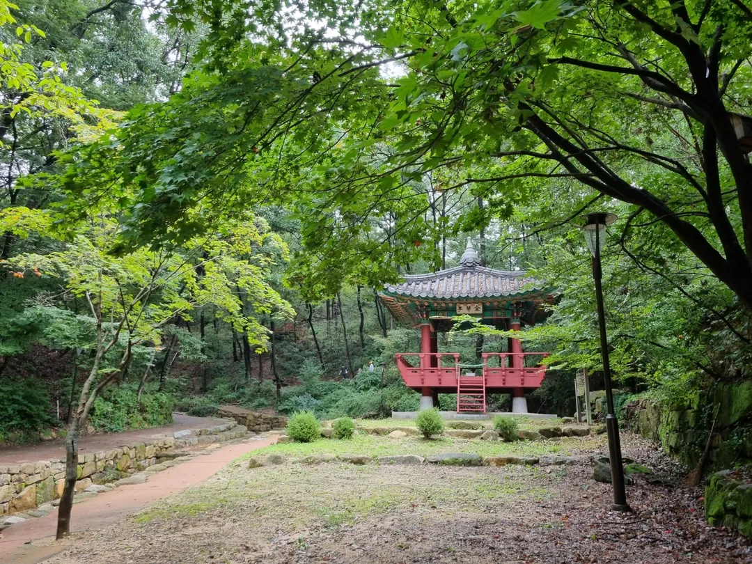 불곡산 도토리 유아숲 체험원 사진 6