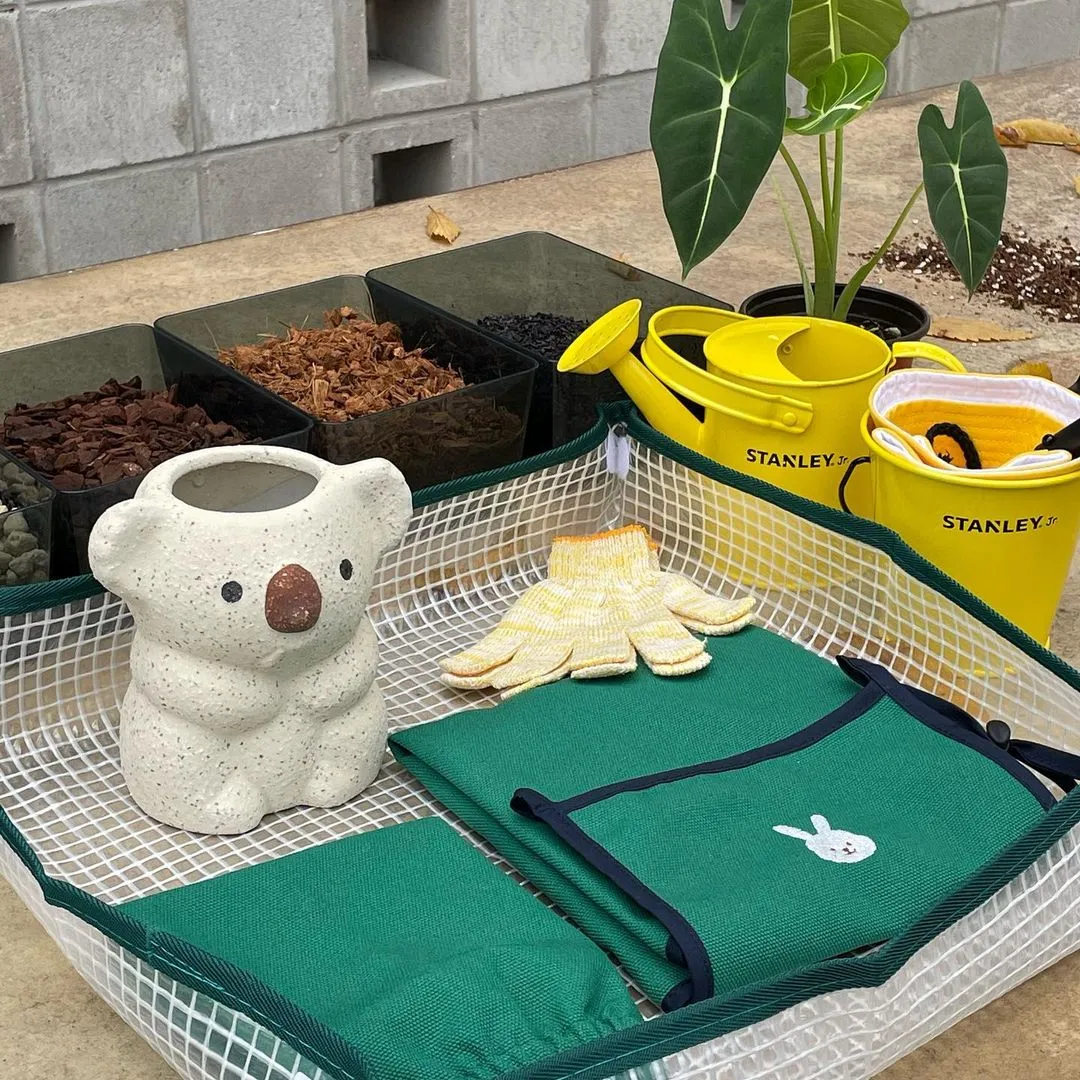 바트로 사진 6