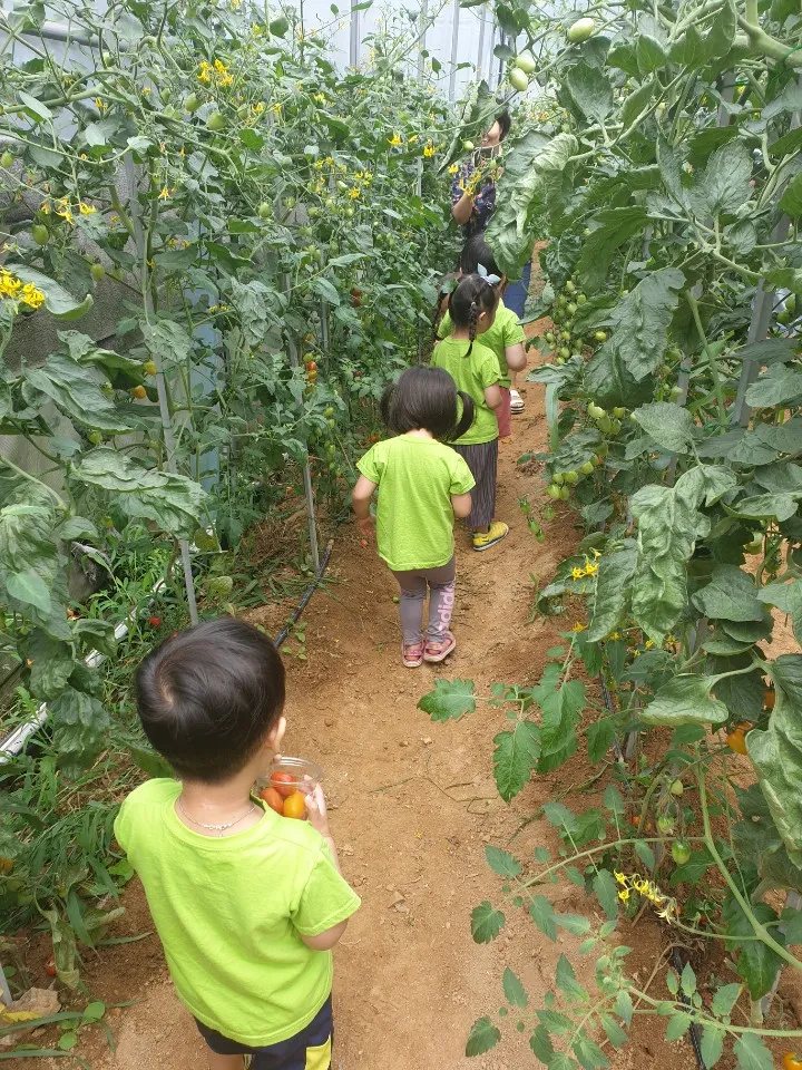 좋은버섯들 사진 6