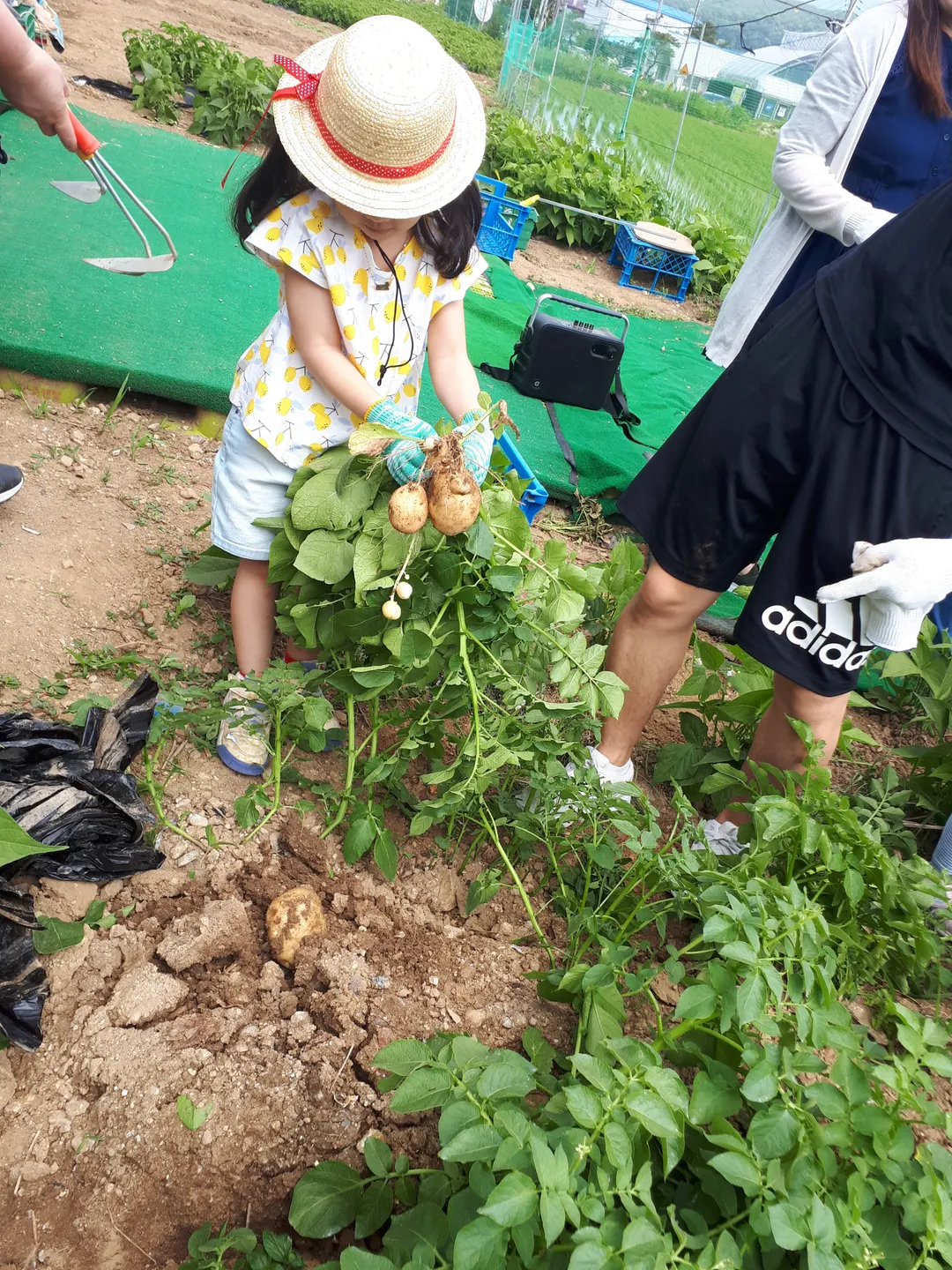 좋은버섯들 사진 7