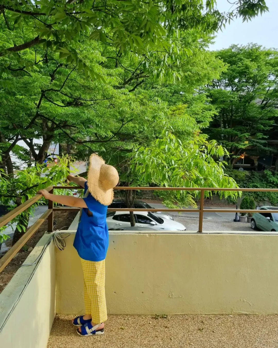 코울러 사진 7