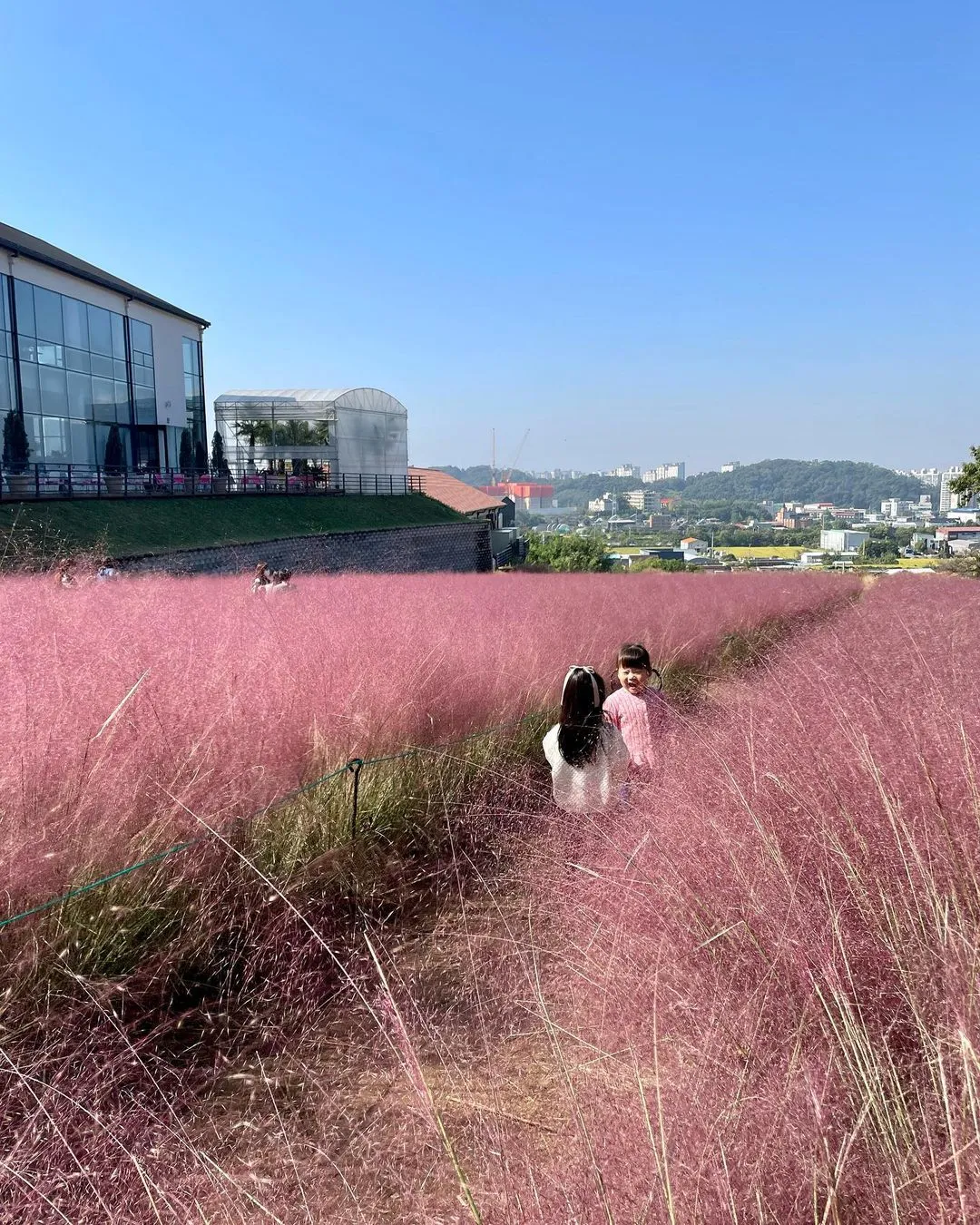 핀스커피