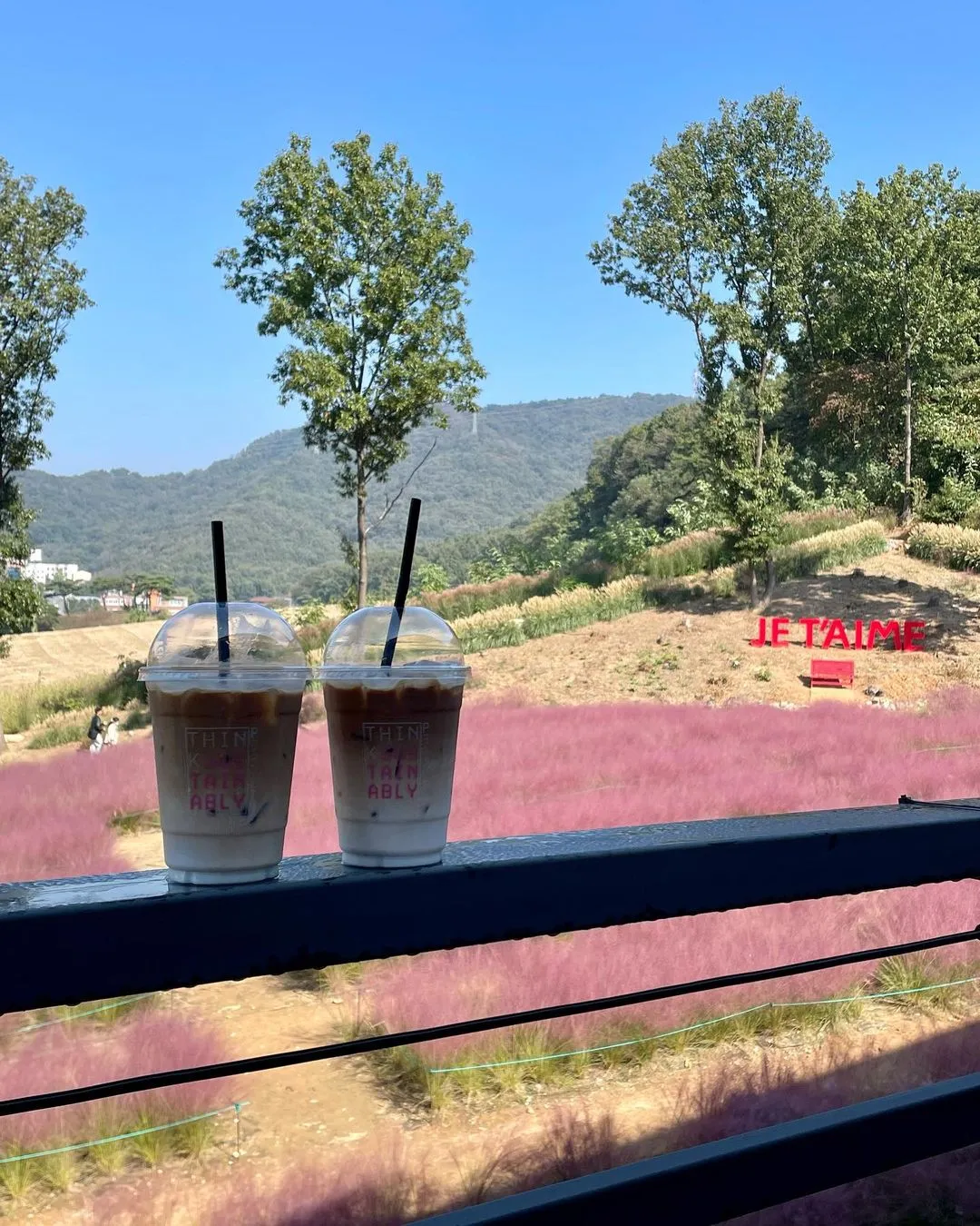 핀스커피
