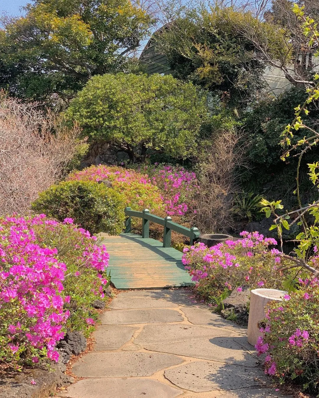 숨도