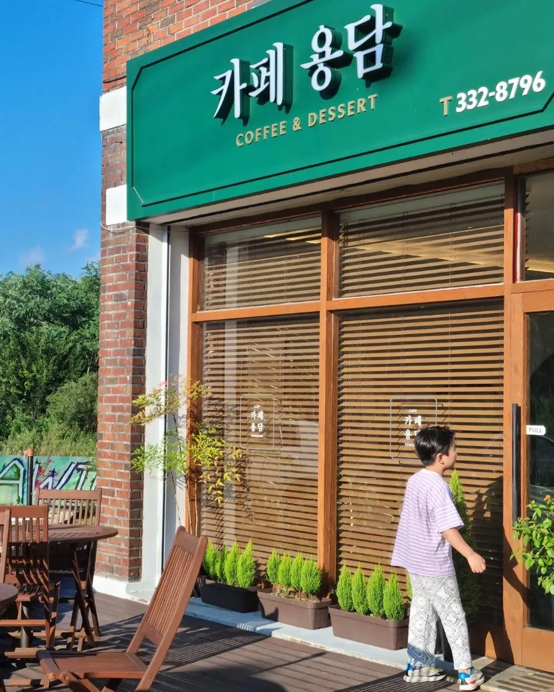 카페용담
