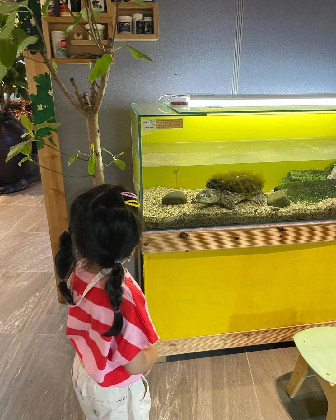 Dasom Ecological Experience Center NC Gyeongsan Branch photo 6