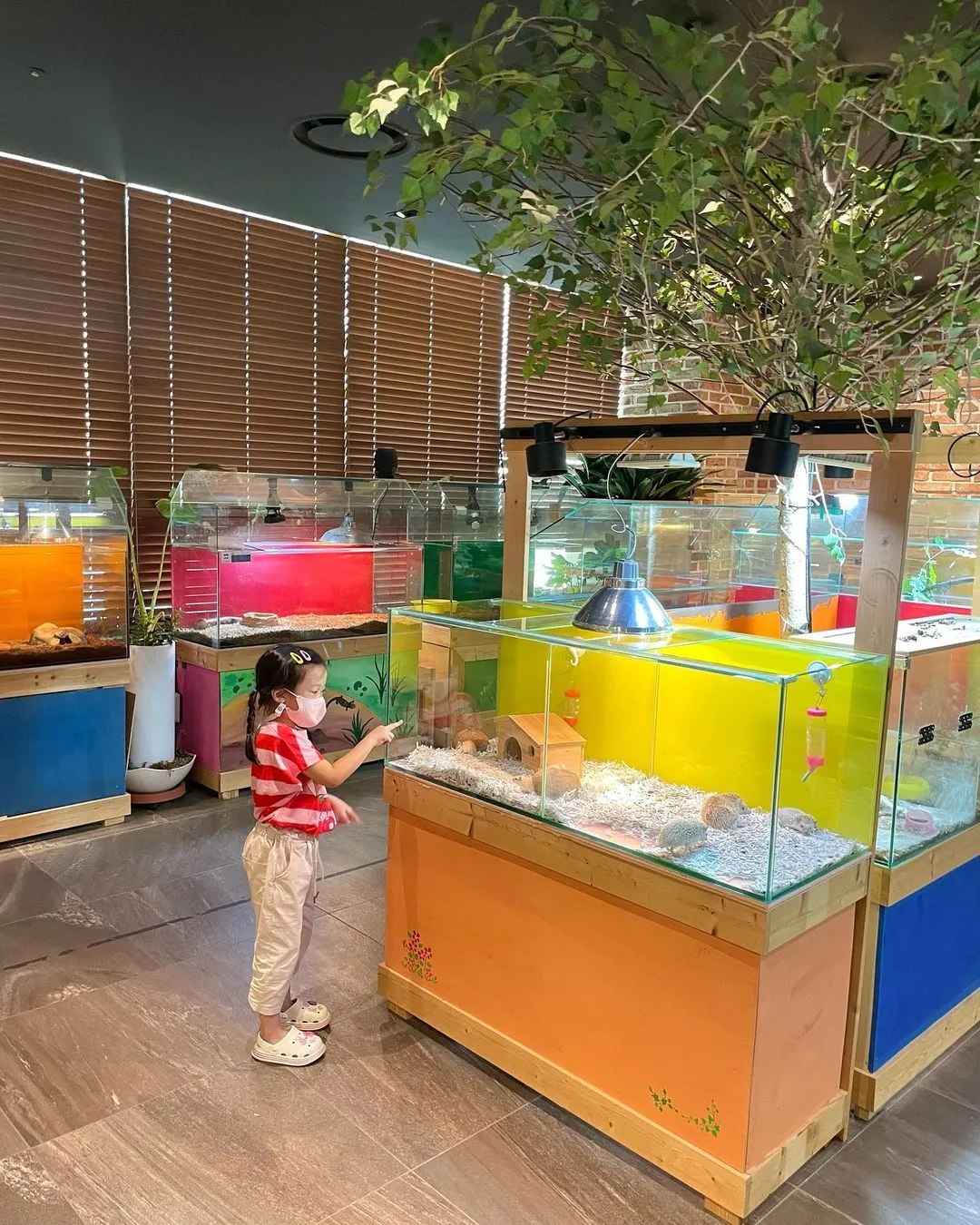 Dasom Ecological Experience Center NC Gyeongsan Branch photo 7