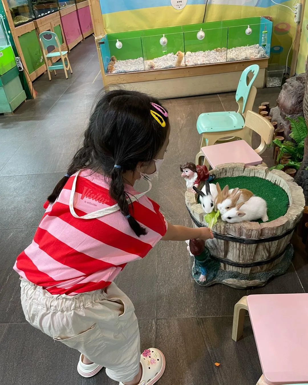 Dasom Ecological Experience Center NC Gyeongsan Branch photo 10