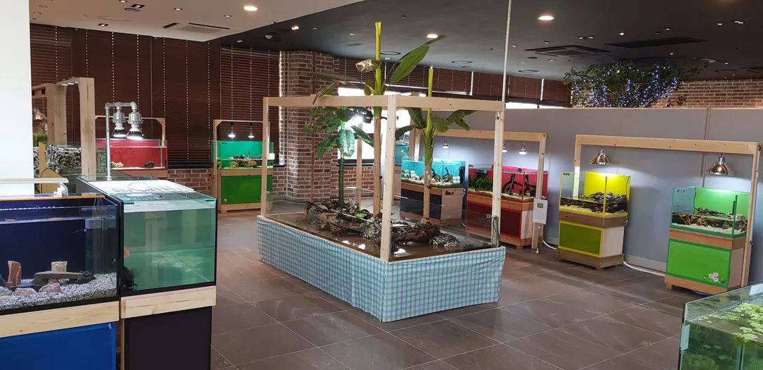 Dasom Ecological Experience Center NC Gyeongsan Branch photo 12