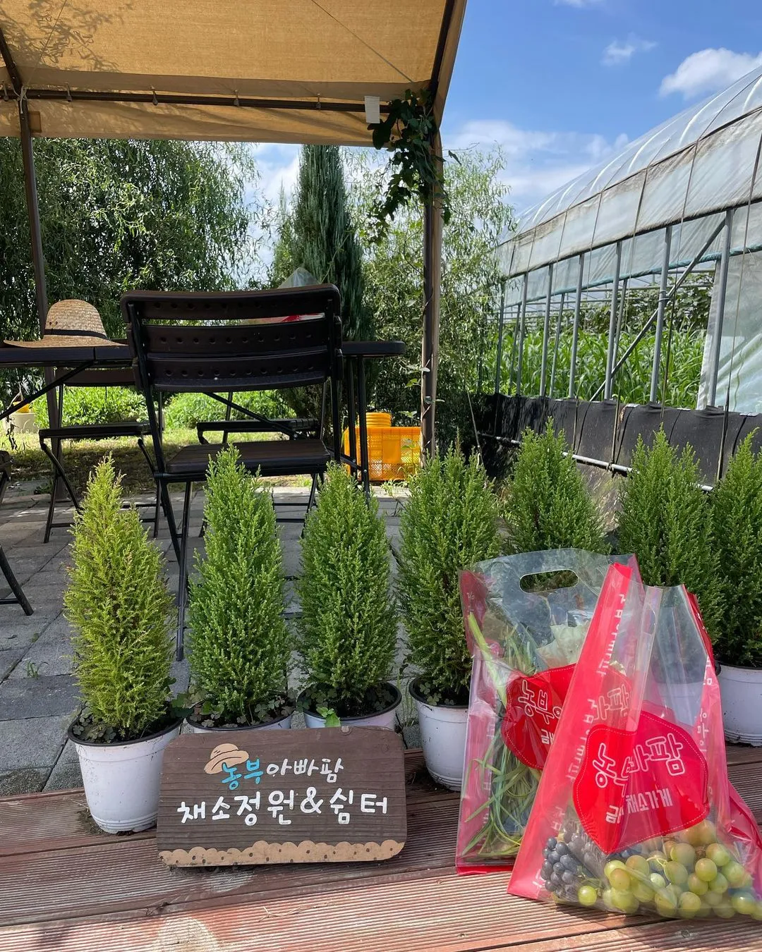 농부아빠팜