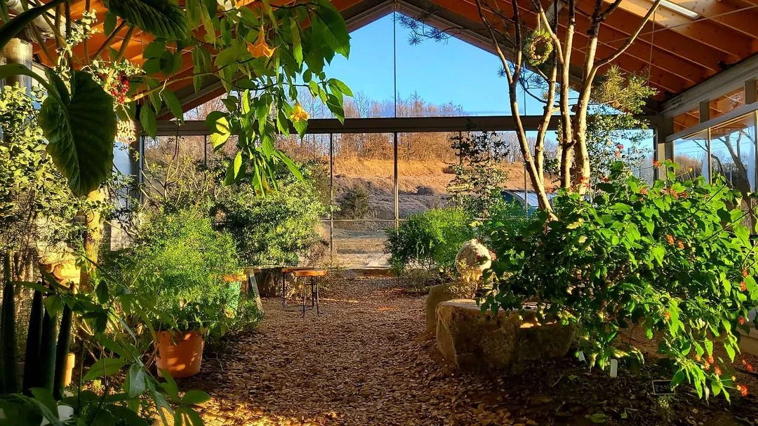 Mwohangnong House photo 16