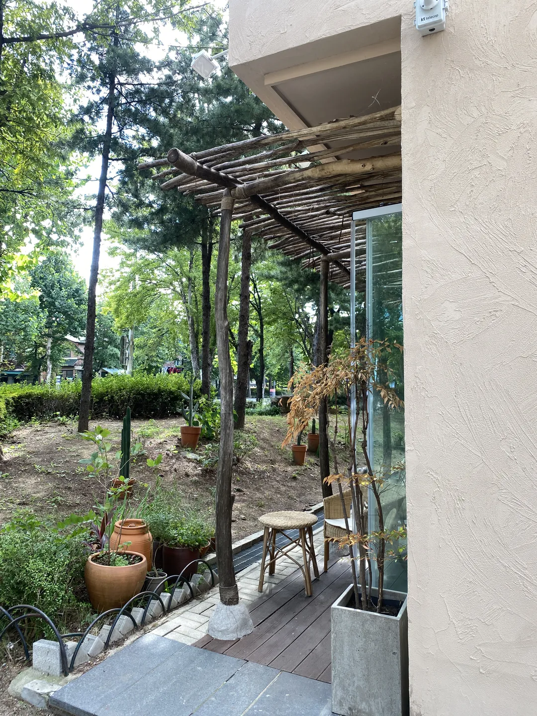 하디르 커피 사진 10