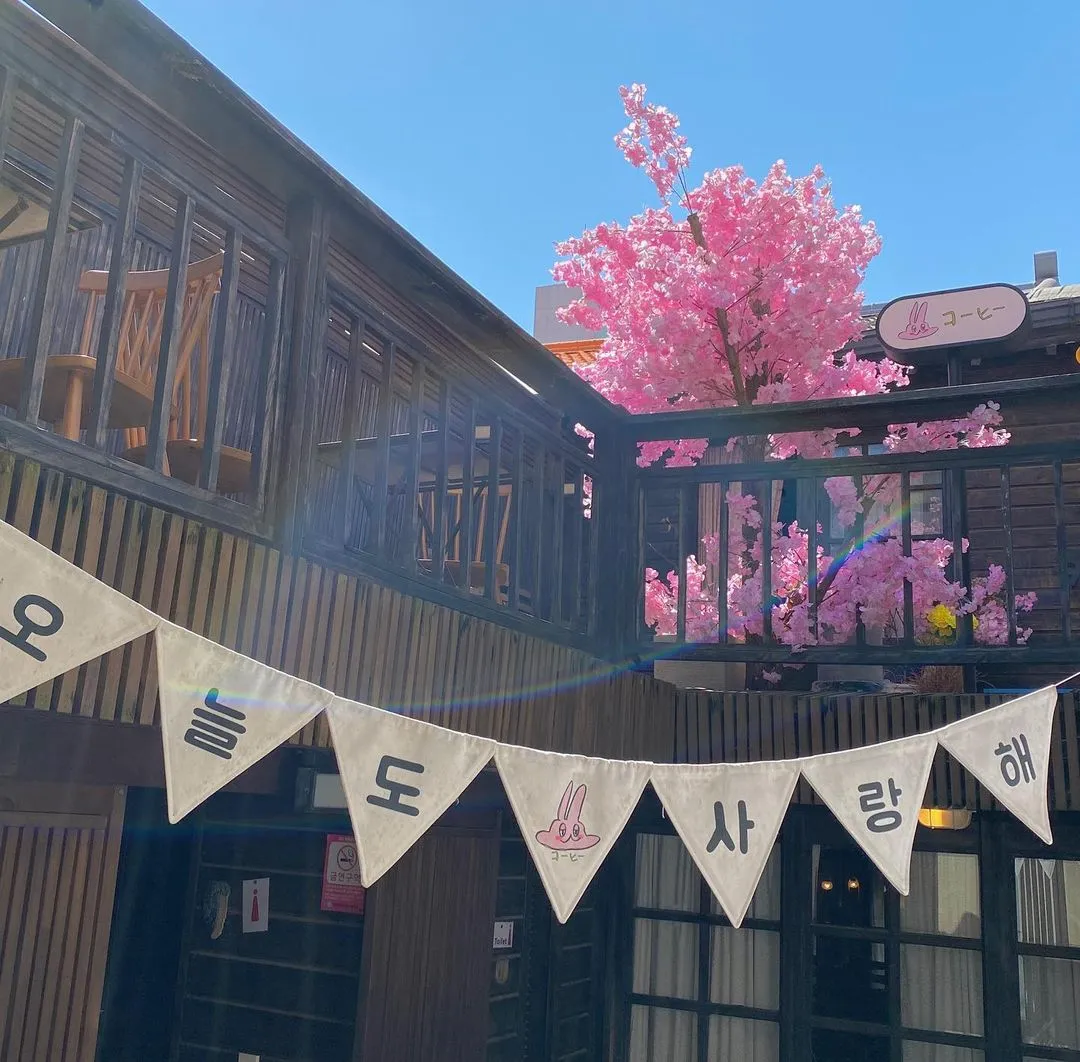 코히별장 사진 10