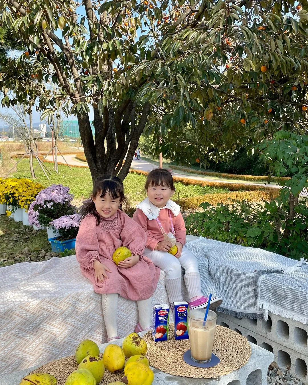 시온 사진 12