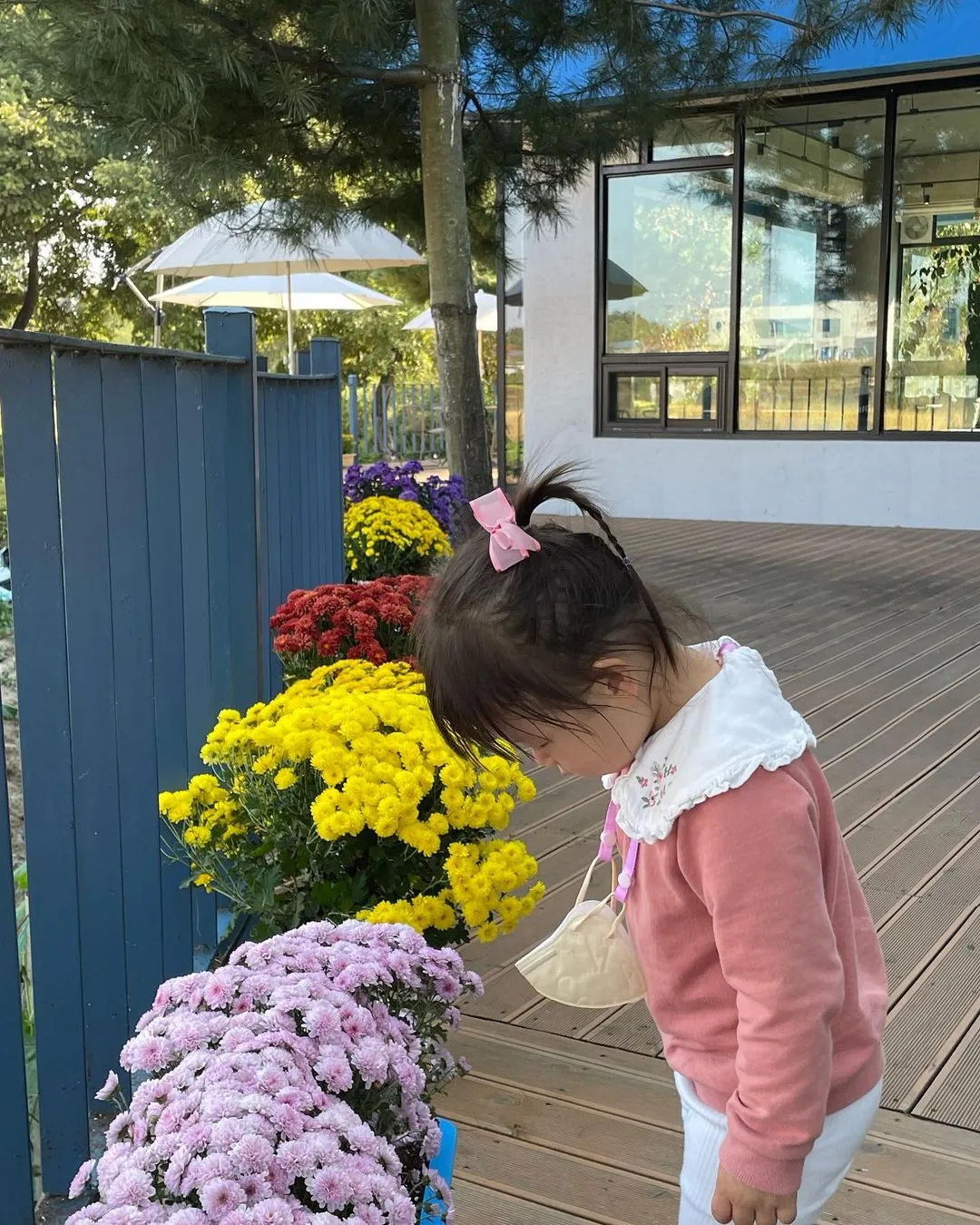 시온 사진 15