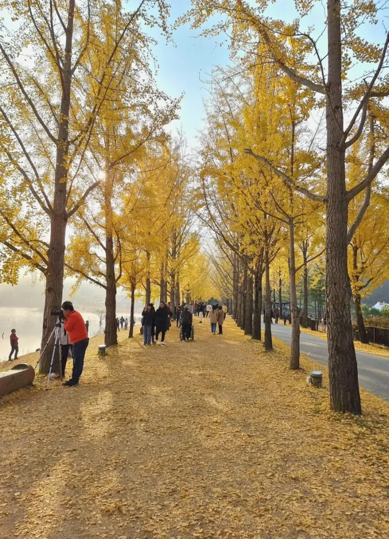 문광저수지