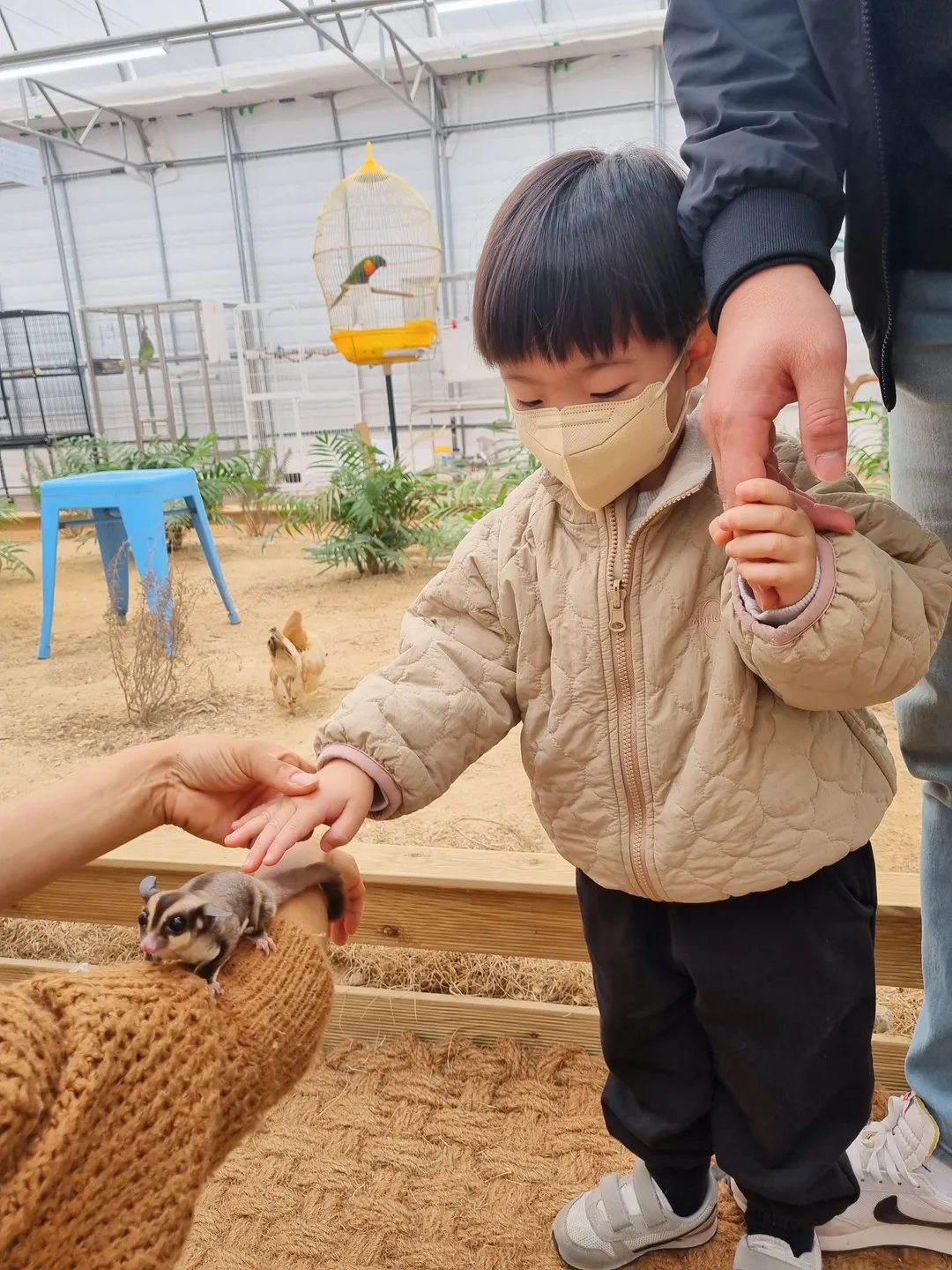 Bird and Zoo photo 6