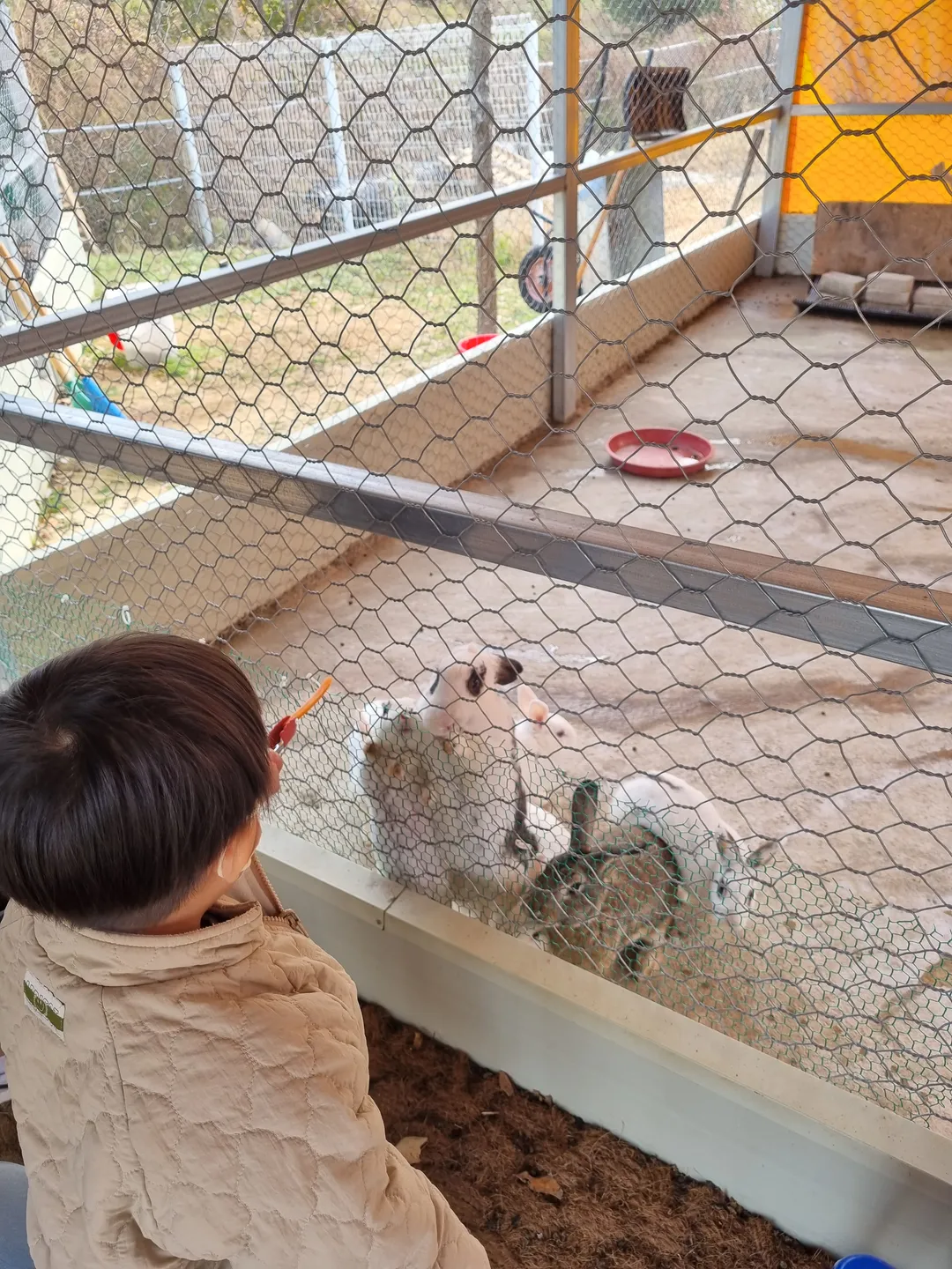 Bird and Zoo photo 7