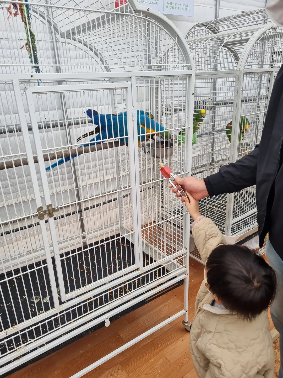 Bird and Zoo photo 13
