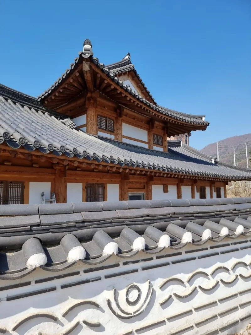 이천산수유마을 사진 8