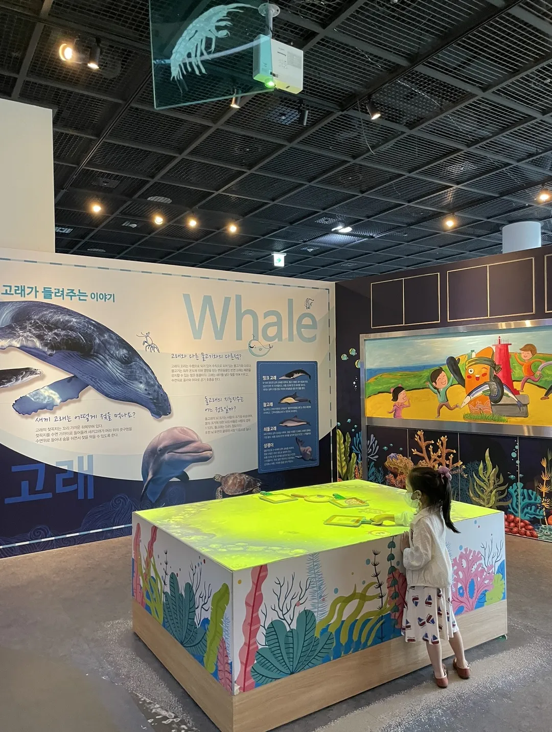 포항구룡포과메기문화관
