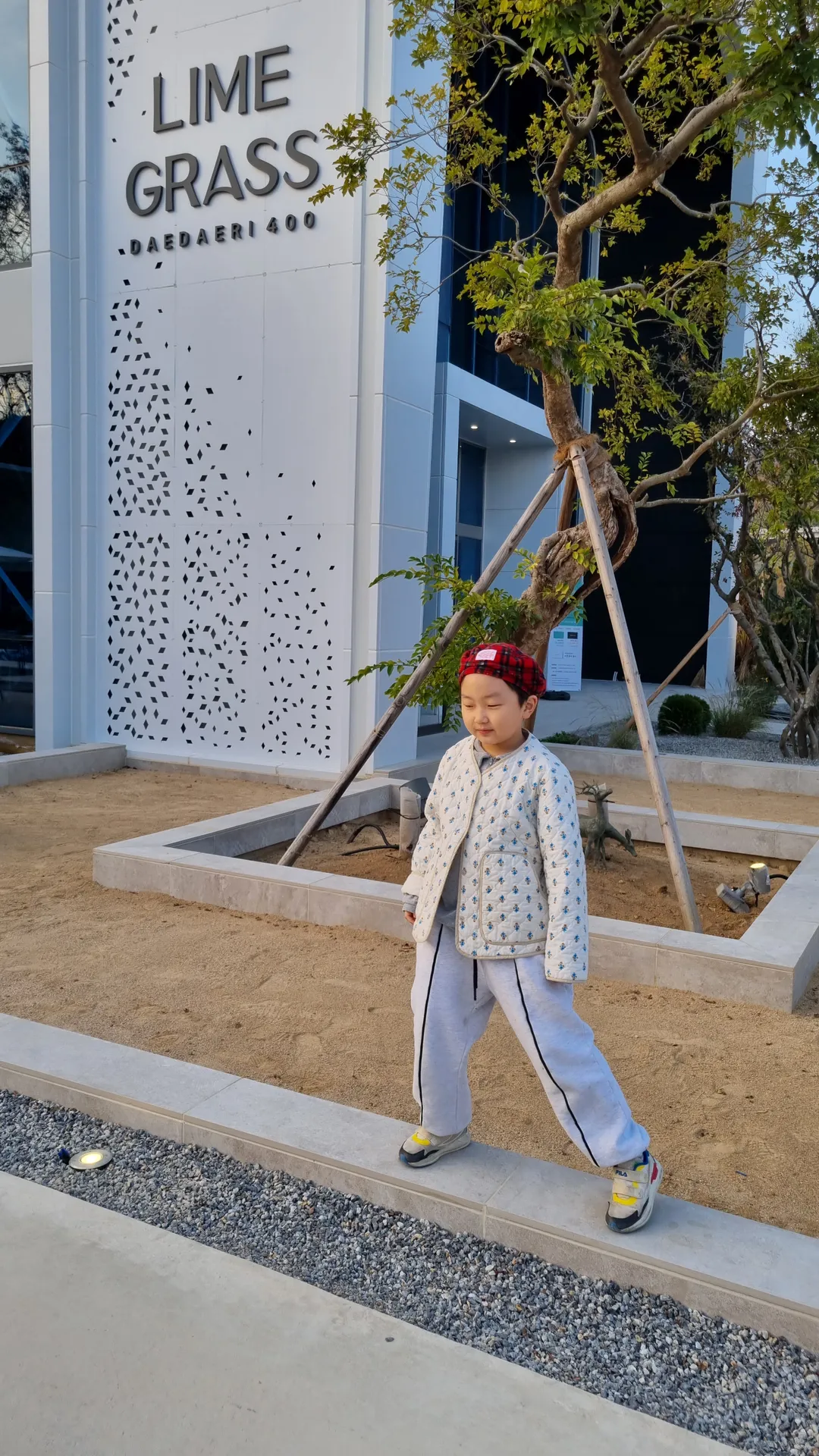 라임그라스 사진 11