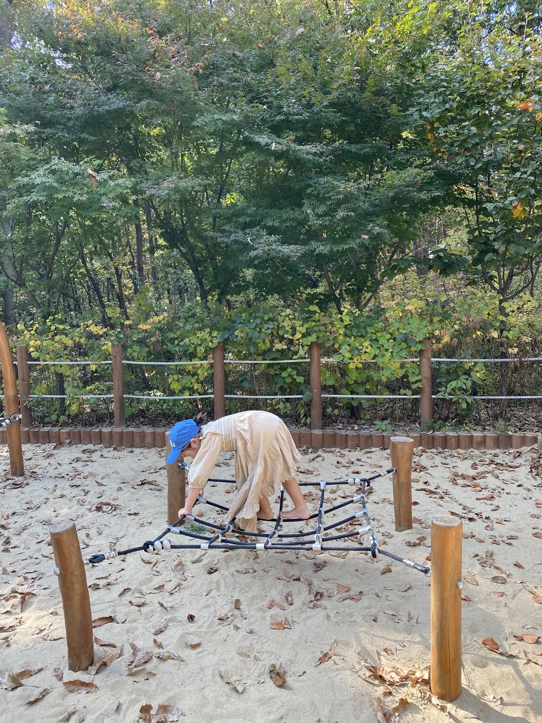동탄호수공원유아숲체험원