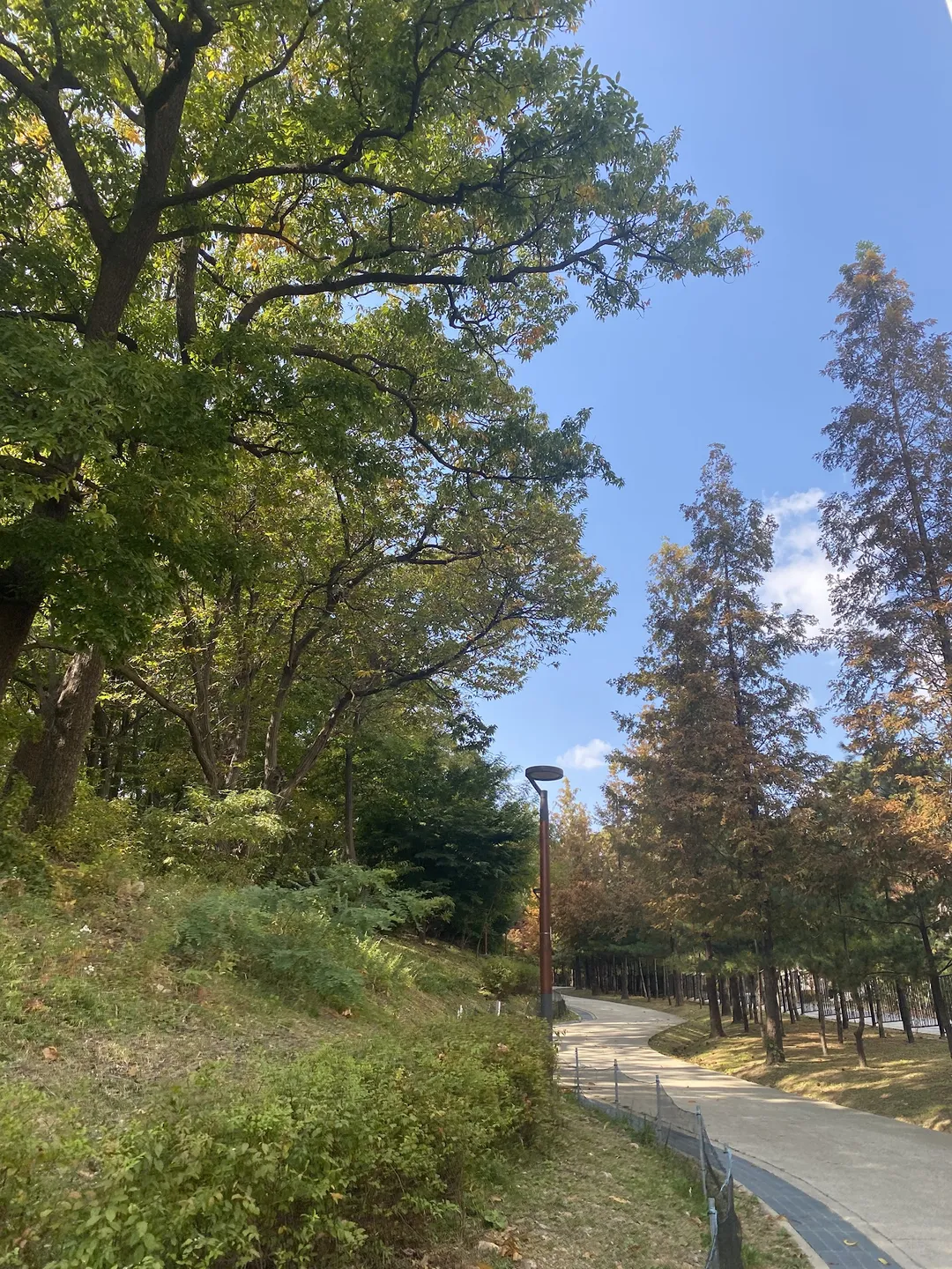 동탄호수공원유아숲체험원 사진 7