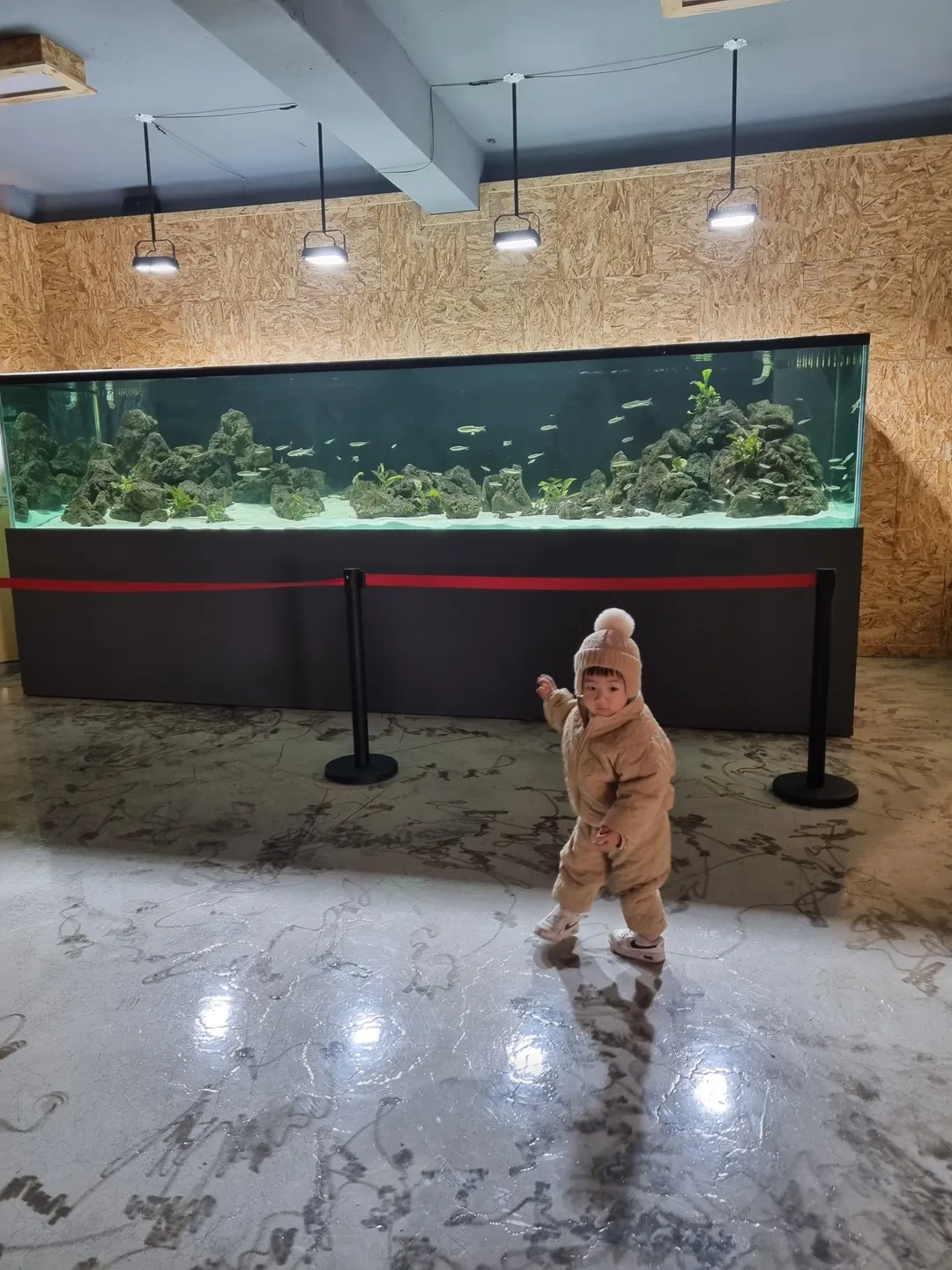 자호천생태학교