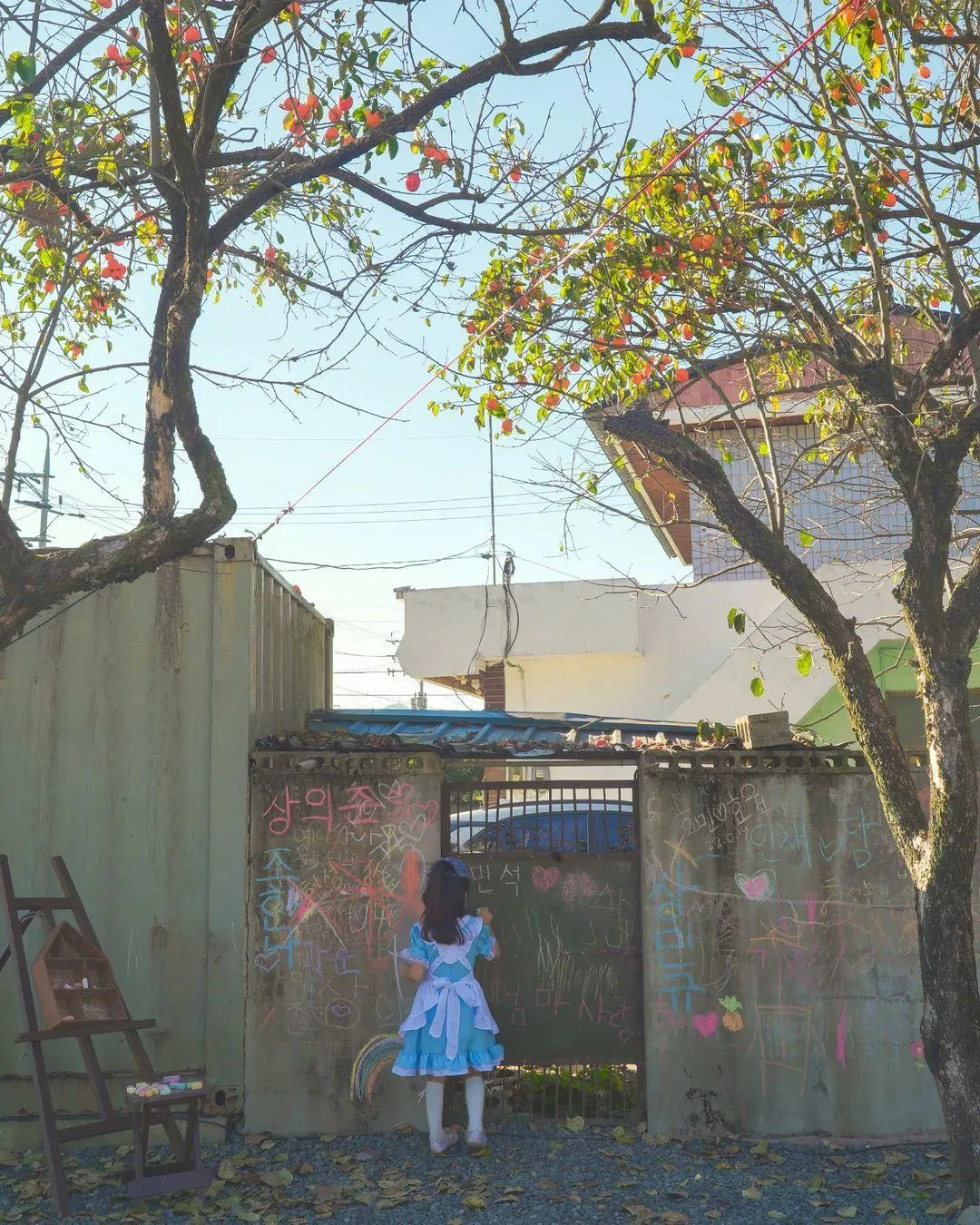 インサボン_ファミリーガーデン 写真 12