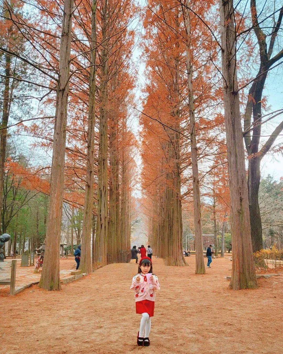 남이섬