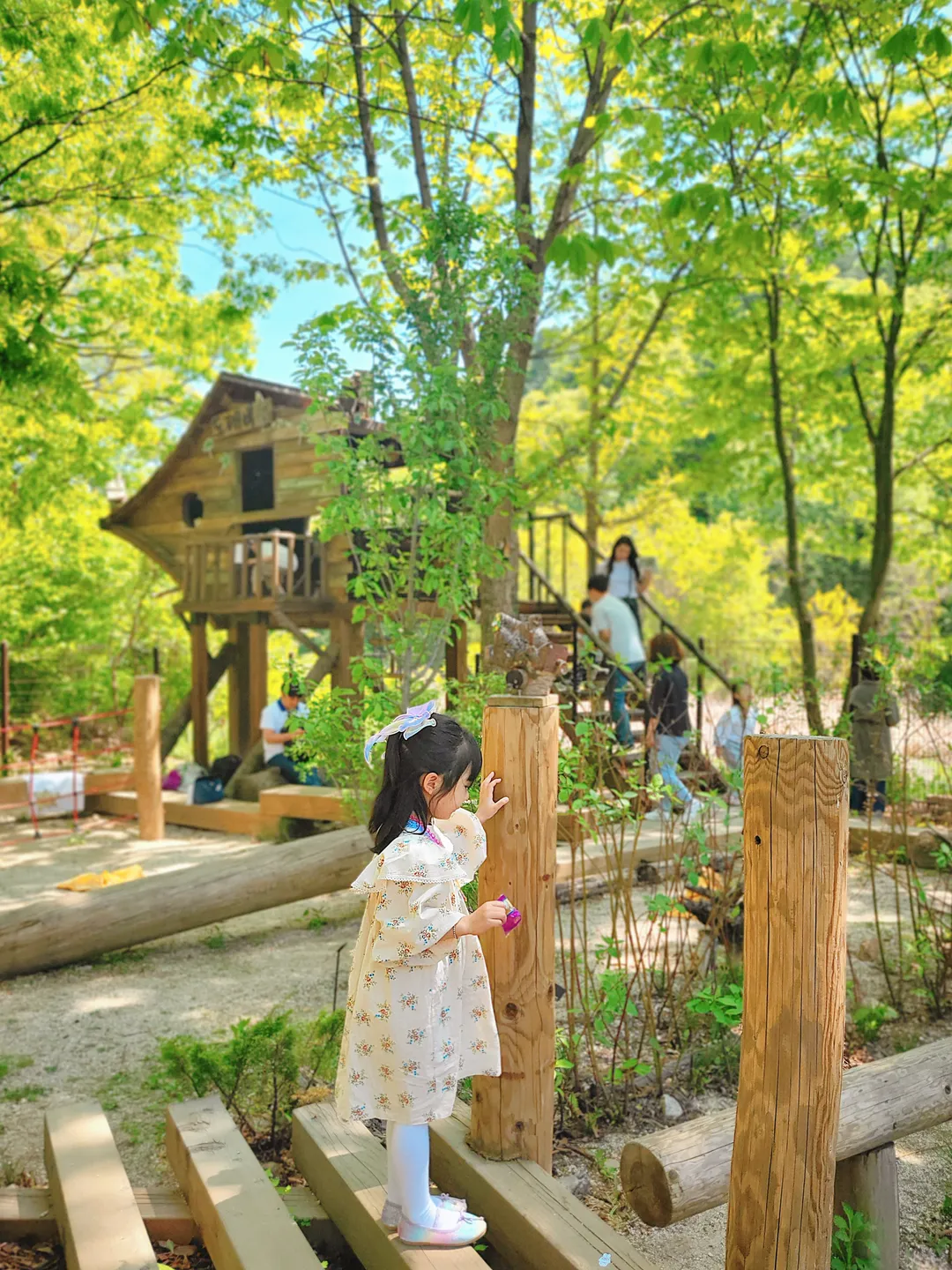 Korea National Arboretum Ribeu Garden photo 7
