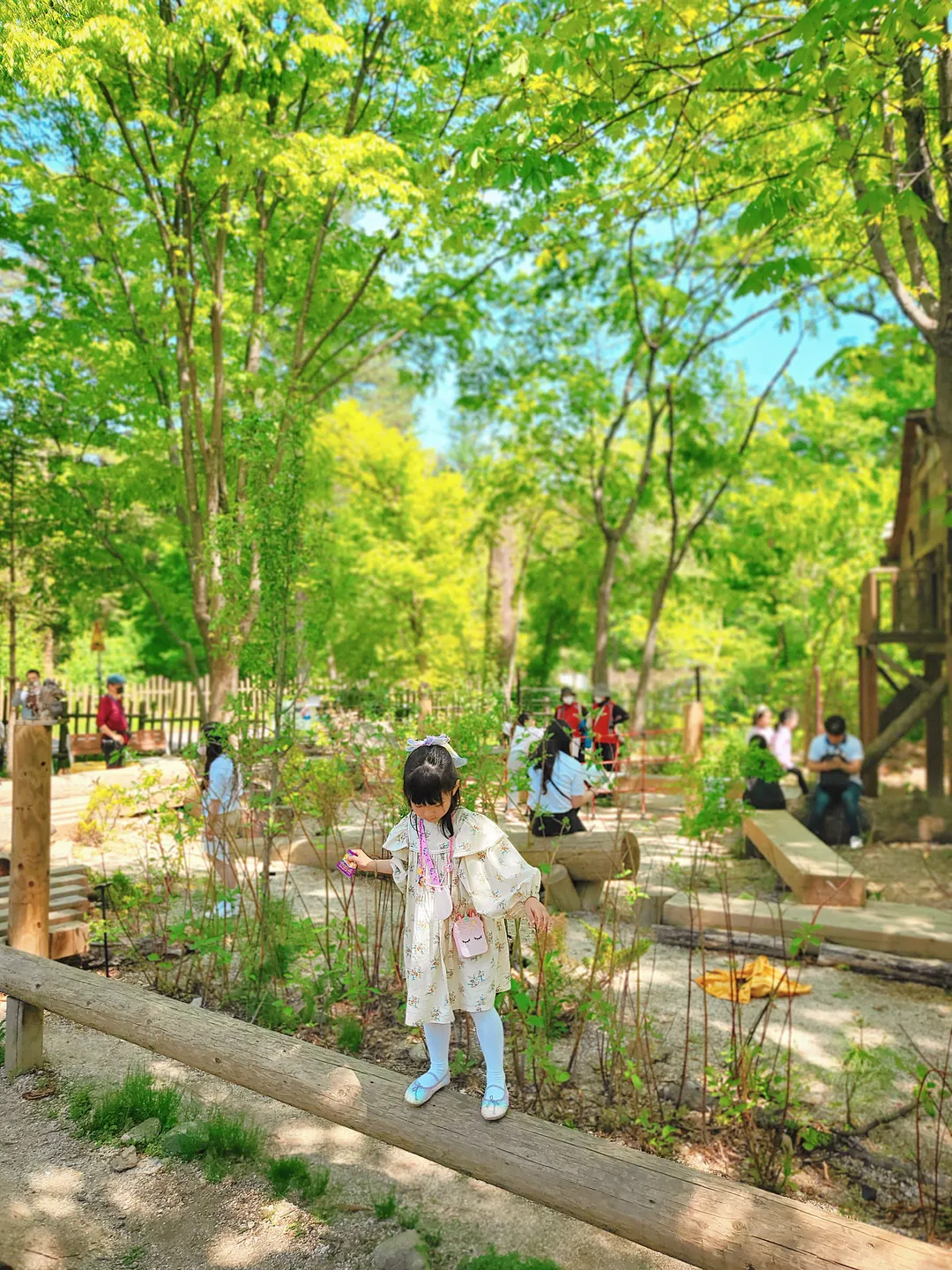 Korea National Arboretum Ribeu Garden photo 9