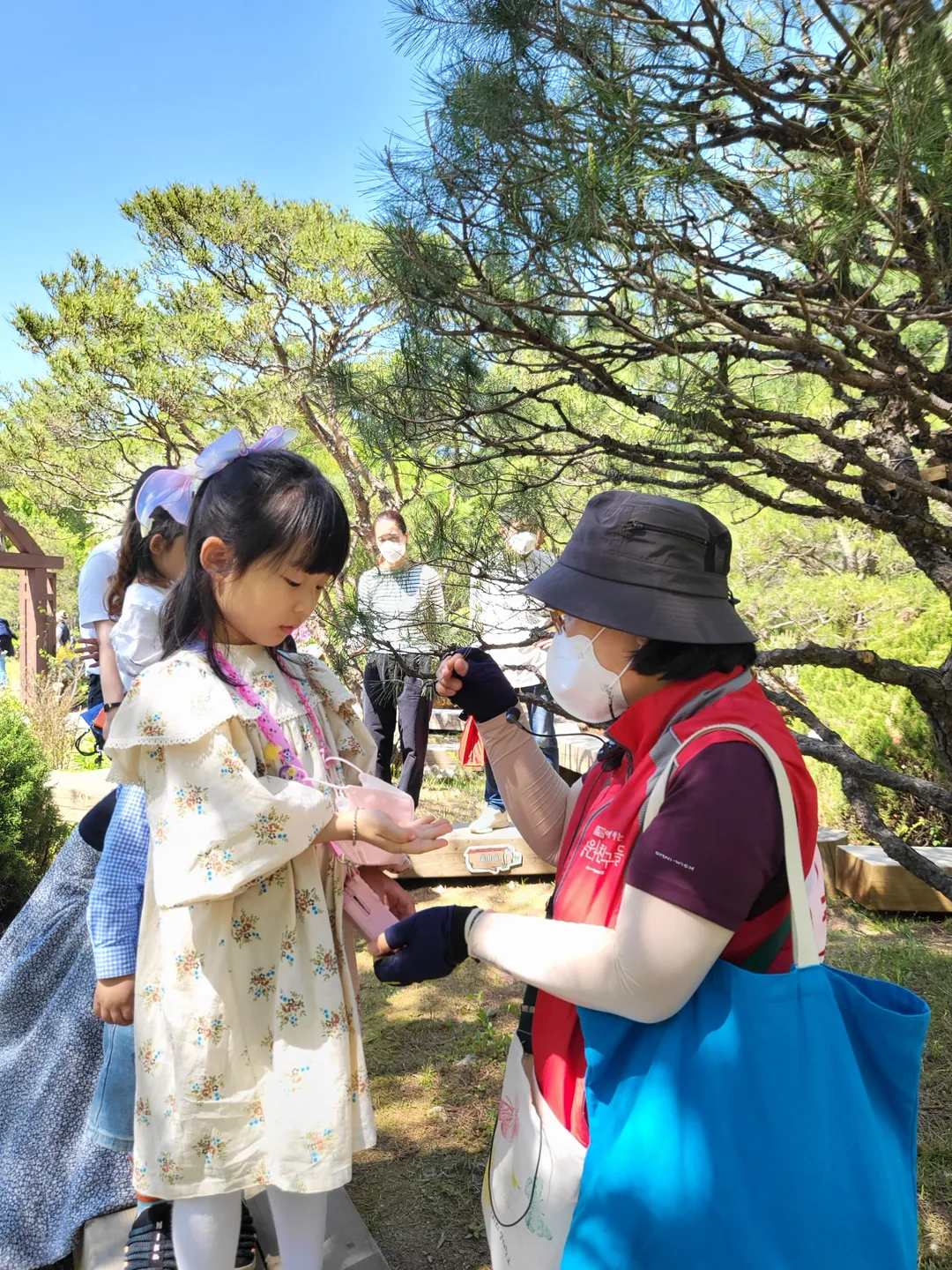 Korea National Arboretum Ribeu Garden photo 15
