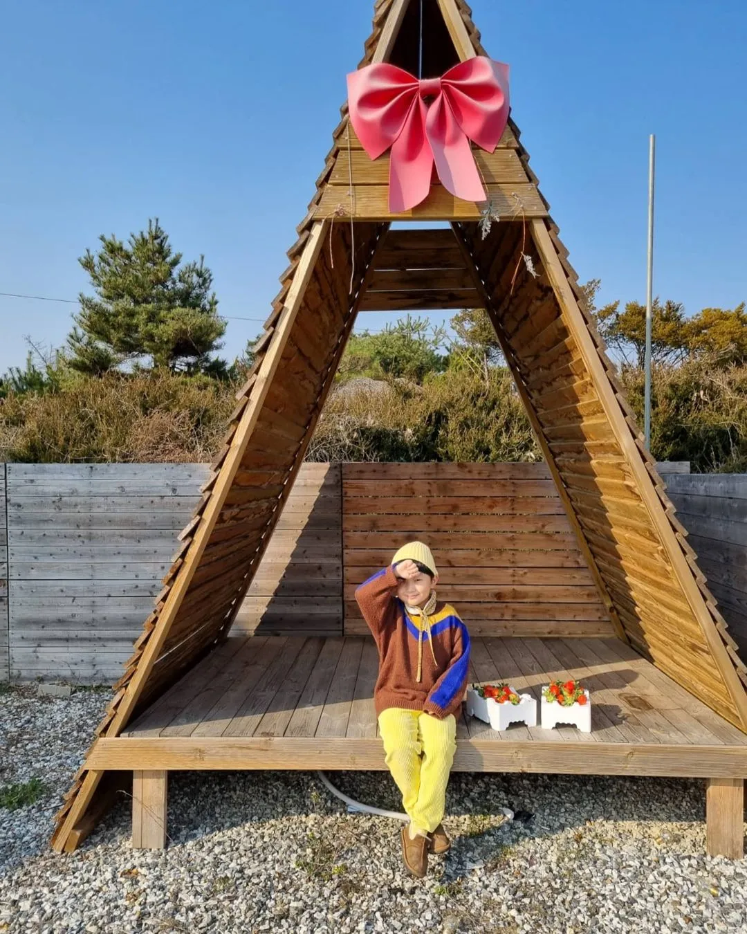 フォレストベル 写真 6