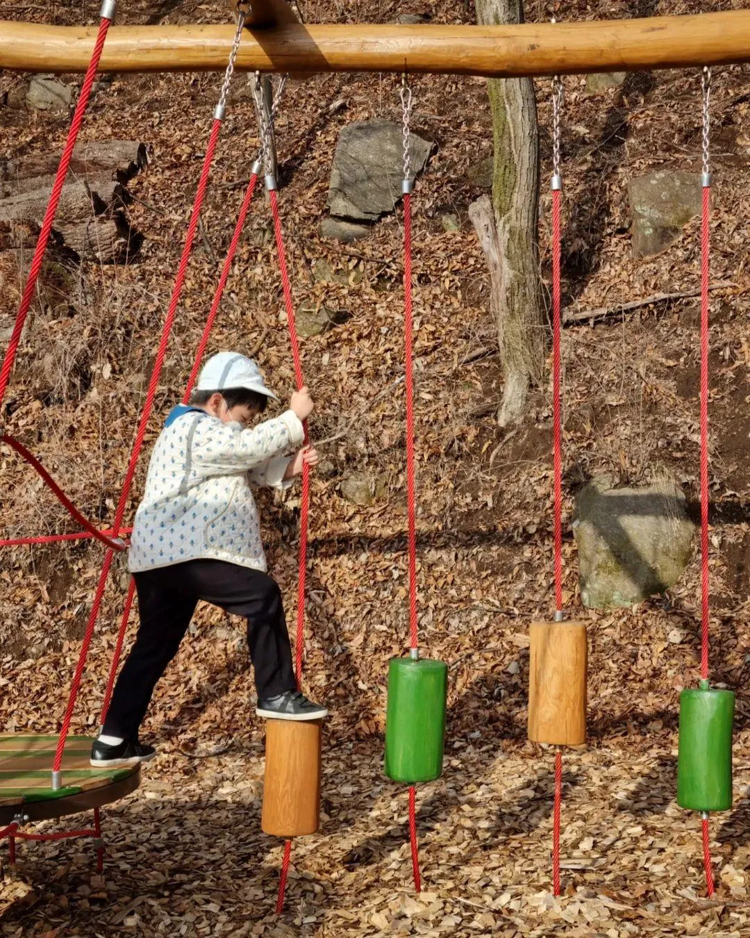 용인아이숲 유아숲체험원