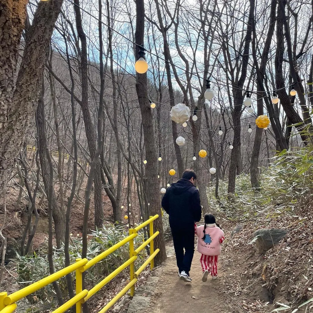 Gimcheon Mulsori Ecological Forest photo 10