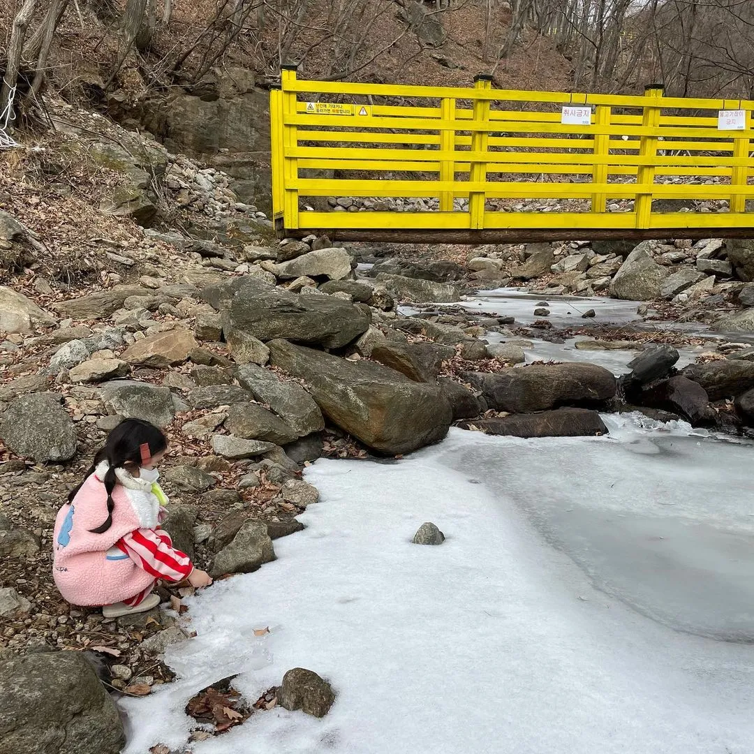 Gimcheon Mulsori Ecological Forest photo 11