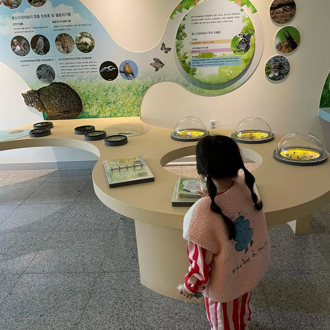 Gimcheon Mulsori Ecological Forest photo 15